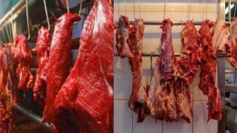 Vì sao con người chủ yếu ăn thịt động vật ăn cỏ thay vì động vật ăn thịt?