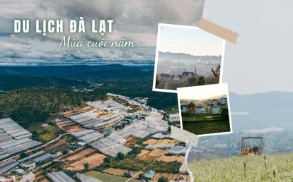   Muôn kiểu ngao du Đà Lạt của dân văn phòng: Người vẫn chăm chỉ chạy deadline, người tạm gác hết âu lo nghỉ xả hơi