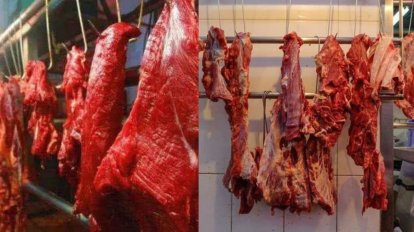 Vì sao con người chủ yếu ăn thịt động vật ăn cỏ thay vì động vật ăn thịt?